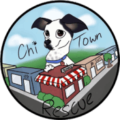 Chi Town Rescue Logo